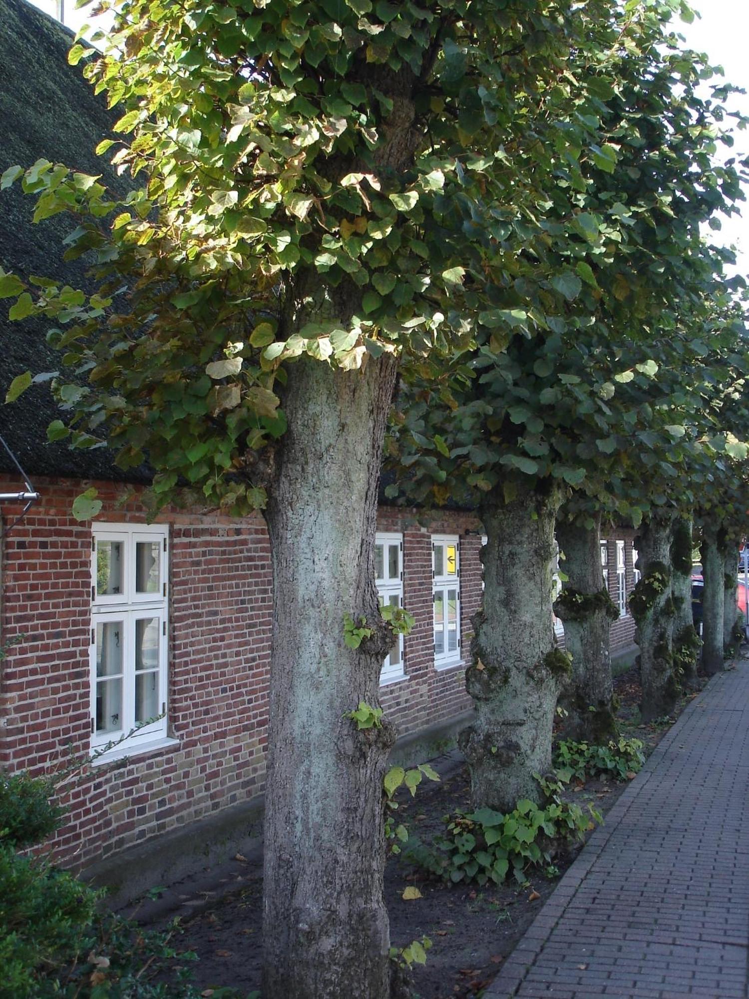 Tetens Gasthof Hotel Süderlügum Eksteriør billede